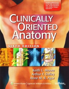 Clinically-Oriented-Anatomy-6h-Edition