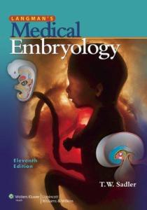 Langman's Medical embryology, 11th Edition