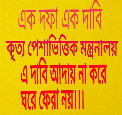 প্রকৃচি-বিসিএস সমন্বয় কমিটির প্রতিবাদ সমাবেশ সারাদেশে