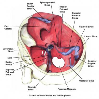 2nd International Live Surgery Workshop on Sinus and Skull Base