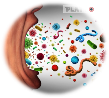 যেভাবে নিয়ন্ত্রণ করা যায় সংক্রামক ব্যাধি (Communicable disease)